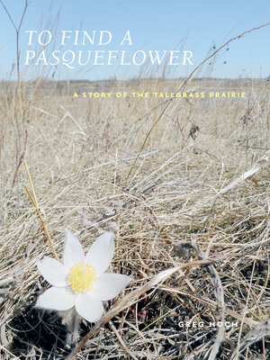 cover image of To Find a Pasqueflower